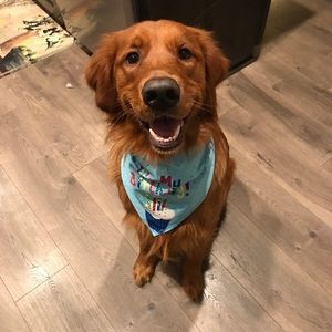 Meet your Posher, Shayla